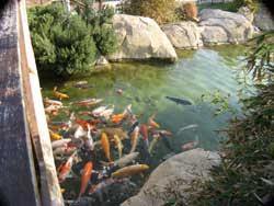 Jardines Marina d'Or